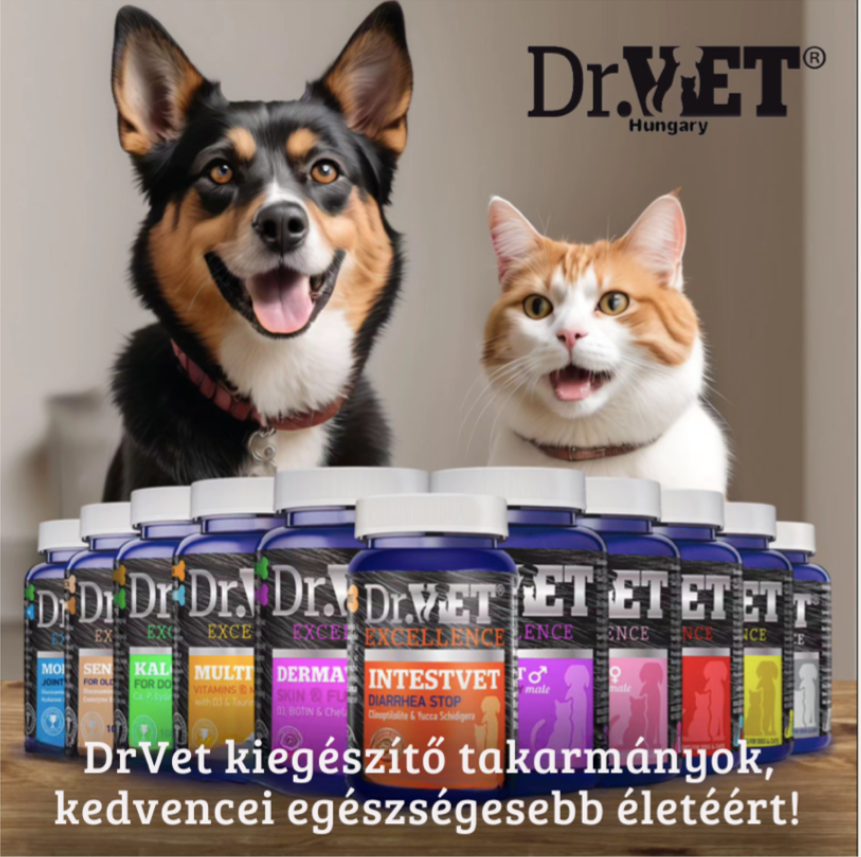 Megnyitottunk